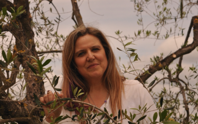 How I stumbled into success