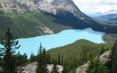 No pain…lot’s of gain