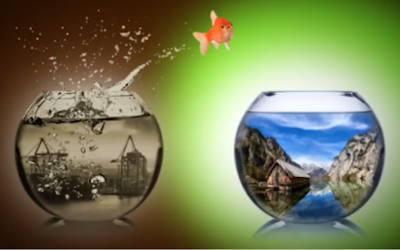 What? Energy doesn’t exist?