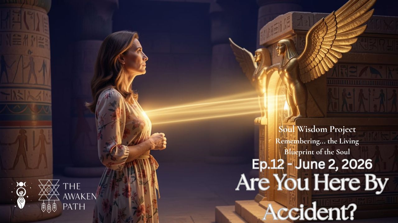 Are you here by accident? Soul Wisdom Project Episode 12 with Shakti Bottazzi Are you here by accident? Soul Wisdom Project Episode 12 with Shakti Bottazzi